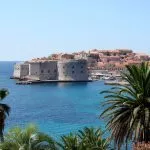 Dubrovnik view through palm trees
