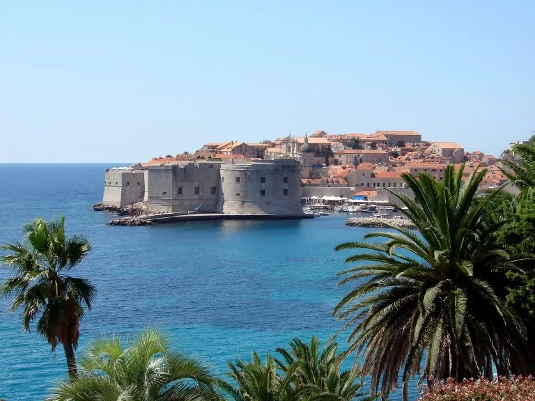 Dubrovnik view through palm trees