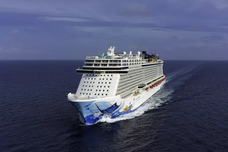 ncl esc nassau