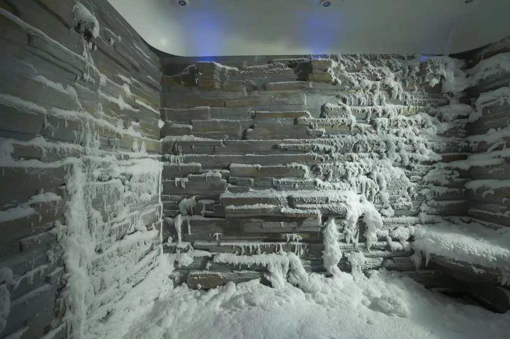 ncl esc snowroom