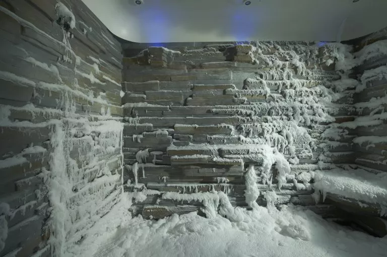 ncl esc snowroom