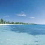 screenshot at